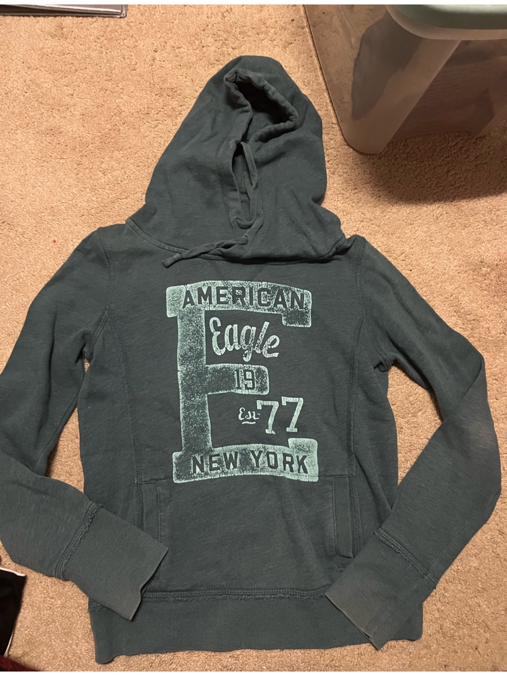 American Eagle Outfitters Teal Green Pullover Hoodie